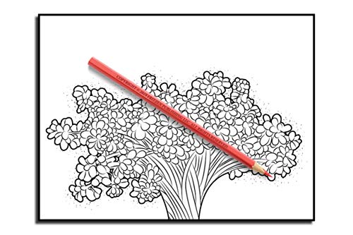 Beautiful Flowers: An Adult Coloring Book with 50 Relaxing Images of Roses, Lilies, Tulips, Cherry Blossoms, Sunflowers, Orchids, Violets, and More!