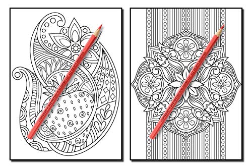 Coloring Books for Adults Relaxation: 100 Magical Swirls Coloring Book with Fun, Easy, and Relaxing Designs