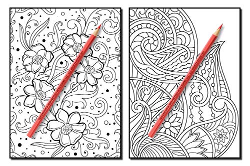 Coloring Books for Adults Relaxation: 100 Magical Swirls Coloring Book with Fun, Easy, and Relaxing Designs