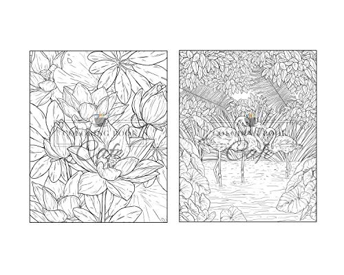 100 Wildlife Scenes: An Adult Coloring Book Featuring 100 Most Beautiful Wildlife Scenes with Animals, Birds and Flowers from Oceans, Jungles, Forests and Savannas