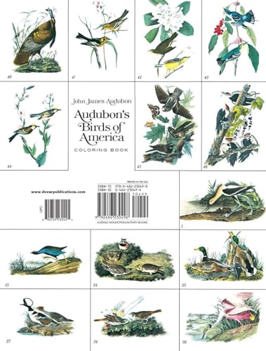 Audubon's Birds of America Coloring Book