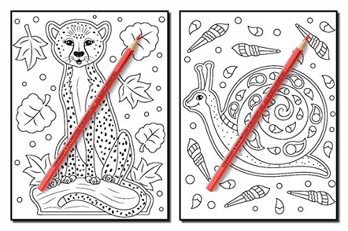 Animals for Beginners: An Adult Coloring Book with Fun, Easy, and Relaxing Coloring Pages