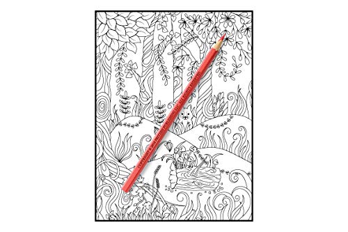 Magical Forest: An Adult Coloring Book with Enchanted Forest Animals, Cute Fantasy Scenes, and Beautiful Flower Designs for Relaxation