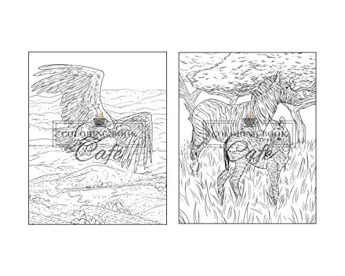 100 Wildlife Scenes: An Adult Coloring Book Featuring 100 Most Beautiful Wildlife Scenes with Animals, Birds and Flowers from Oceans, Jungles, Forests and Savannas