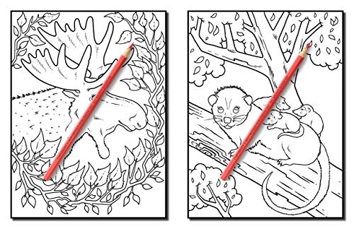 Forest Animals: An Adult Coloring Book with Adorable Woodland Creatures, Delightful Fantasy Elements, and Peaceful Nature Scenes