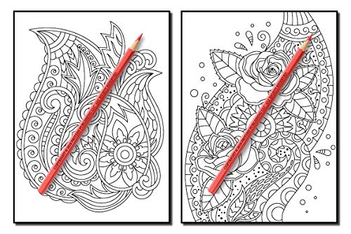 Coloring Books for Adults Relaxation: 100 Magical Swirls Coloring Book with Fun, Easy, and Relaxing Designs