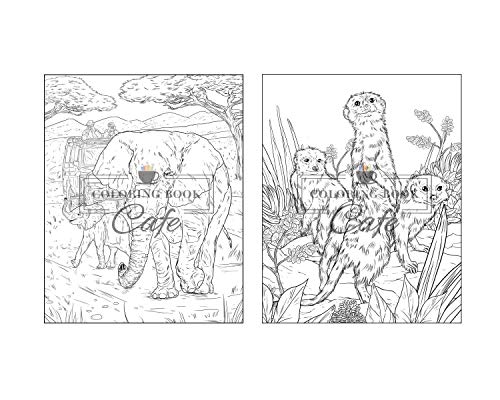 100 Wildlife Scenes: An Adult Coloring Book Featuring 100 Most Beautiful Wildlife Scenes with Animals, Birds and Flowers from Oceans, Jungles, Forests and Savannas