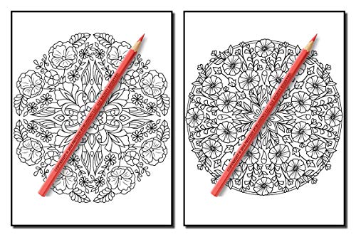 Springtime Flowers: An Adult Coloring Book with Beautiful Spring Flowers, Fun Flower Designs, and Easy Floral Patterns for Relaxation