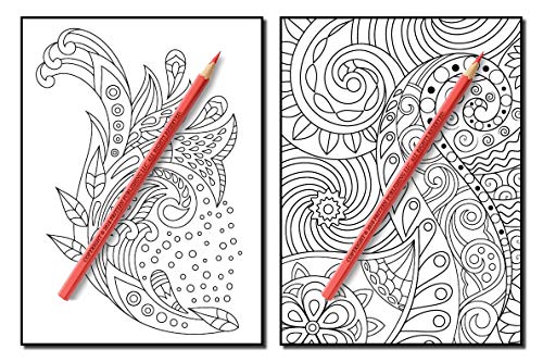 Coloring Books for Adults Relaxation: 100 Magical Swirls Coloring Book with Fun, Easy, and Relaxing Designs