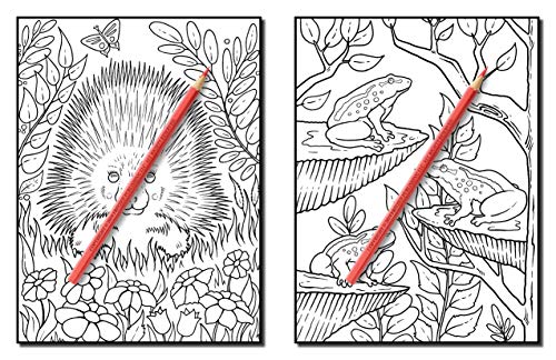 Forest Animals: An Adult Coloring Book with Adorable Woodland Creatures, Delightful Fantasy Elements, and Peaceful Nature Scenes