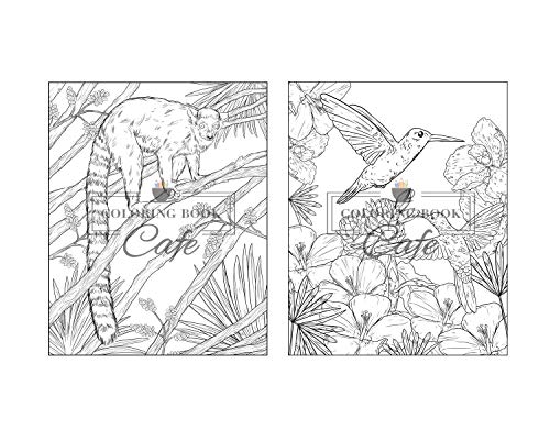 100 Wildlife Scenes: An Adult Coloring Book Featuring 100 Most Beautiful Wildlife Scenes with Animals, Birds and Flowers from Oceans, Jungles, Forests and Savannas