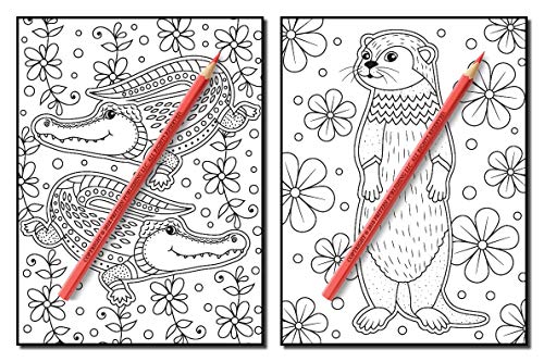 Animals for Beginners: An Adult Coloring Book with Fun, Easy, and Relaxing Coloring Pages
