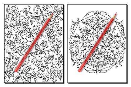 Springtime Flowers: An Adult Coloring Book with Beautiful Spring Flowers, Fun Flower Designs, and Easy Floral Patterns for Relaxation