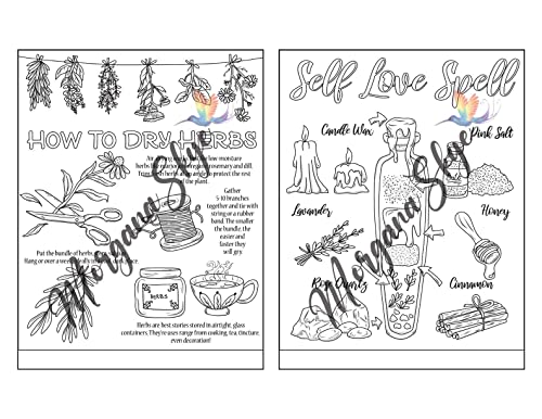 Witchcraft Coloring Book for Adults: Channel Your Creative Energy and Discover the Magic of Plants, Herbs, Crystals, and Beyond