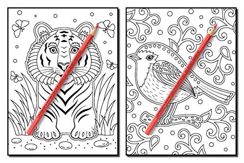 Animals for Beginners: An Adult Coloring Book with Fun, Easy, and Relaxing Coloring Pages