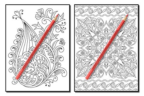 Coloring Books for Adults Relaxation: 100 Magical Swirls Coloring Book with Fun, Easy, and Relaxing Designs