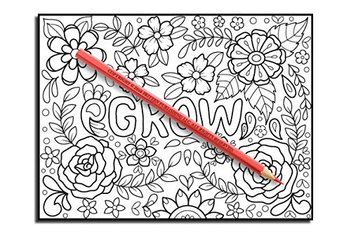 Inspirational Words: An Adult Coloring Book with Fun Word Designs, Cute Kawaii Doodles, and Relaxing Flower Patterns (Inspirational Coloring Books)