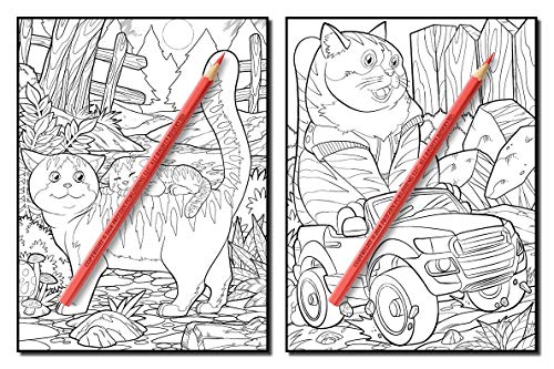Cute Cats: An Adult Coloring Book with Funny Cats, Adorable Kittens, and Hilarious Scenes for Cat Lovers