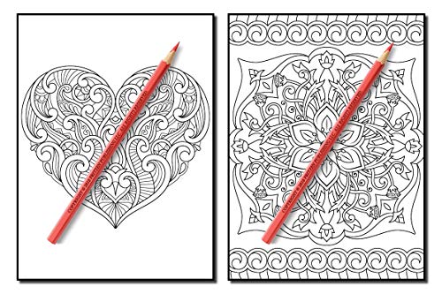 Coloring Books for Adults Relaxation: 100 Magical Swirls Coloring Book with Fun, Easy, and Relaxing Designs