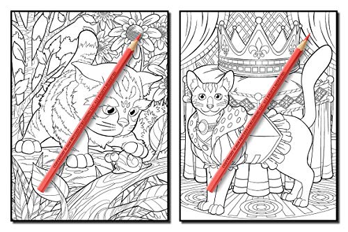 Cute Cats: An Adult Coloring Book with Funny Cats, Adorable Kittens, and Hilarious Scenes for Cat Lovers