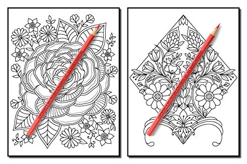 Springtime Flowers: An Adult Coloring Book with Beautiful Spring Flowers, Fun Flower Designs, and Easy Floral Patterns for Relaxation