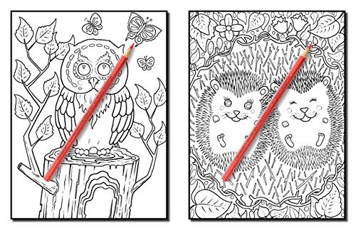 Forest Animals: An Adult Coloring Book with Adorable Woodland Creatures, Delightful Fantasy Elements, and Peaceful Nature Scenes