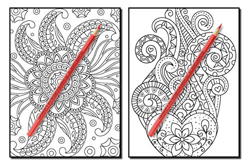 Coloring Books for Adults Relaxation: 100 Magical Swirls Coloring Book with Fun, Easy, and Relaxing Designs