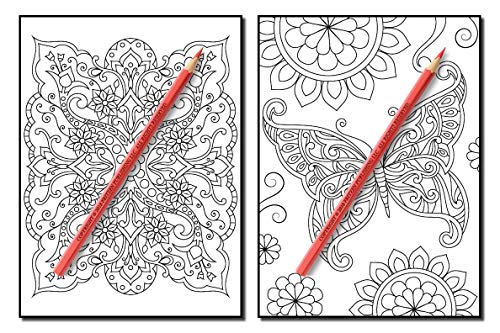 Coloring Books for Adults Relaxation: 100 Magical Swirls Coloring Book with Fun, Easy, and Relaxing Designs