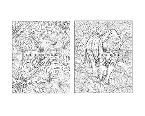 100 Wildlife Scenes: An Adult Coloring Book Featuring 100 Most Beautiful Wildlife Scenes with Animals, Birds and Flowers from Oceans, Jungles, Forests and Savannas