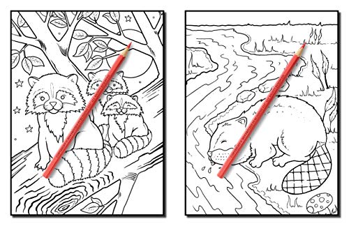 Forest Animals: An Adult Coloring Book with Adorable Woodland Creatures, Delightful Fantasy Elements, and Peaceful Nature Scenes