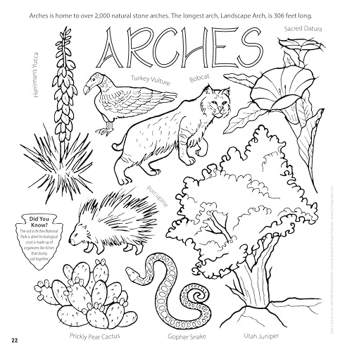 Ultimate National Parks Coloring Book: Amazing Scenes from 63 of the Nation's Most Beautiful Places (Design Originals) Fun Facts, Map of Parks, Plant and Animal Collages, and More