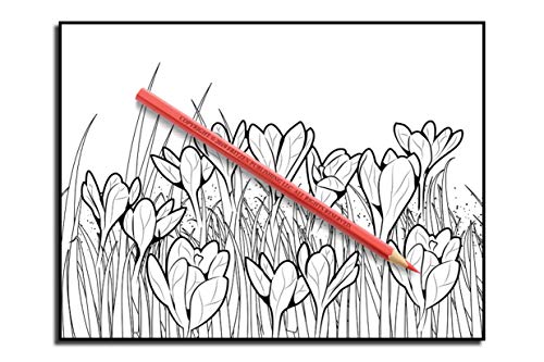 Beautiful Flowers: An Adult Coloring Book with 50 Relaxing Images of Roses, Lilies, Tulips, Cherry Blossoms, Sunflowers, Orchids, Violets, and More!