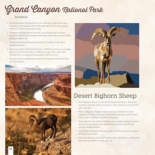National Parks of North America Amazing Animals Sticker Painting Book: 12 Super Fun Paintings (Design Originals) Bison, Bear, Humpback Whale, Moose, Puffin, and More, with Up to 80 Stickers per Design