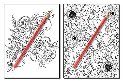Springtime Flowers: An Adult Coloring Book with Beautiful Spring Flowers, Fun Flower Designs, and Easy Floral Patterns for Relaxation