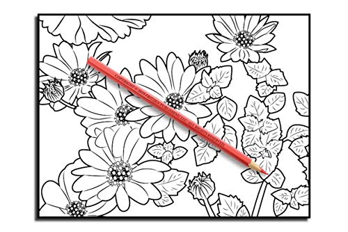 Beautiful Flowers: An Adult Coloring Book with 50 Relaxing Images of Roses, Lilies, Tulips, Cherry Blossoms, Sunflowers, Orchids, Violets, and More!