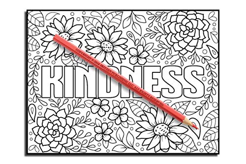 Inspirational Words: An Adult Coloring Book with Fun Word Designs, Cute Kawaii Doodles, and Relaxing Flower Patterns (Inspirational Coloring Books)