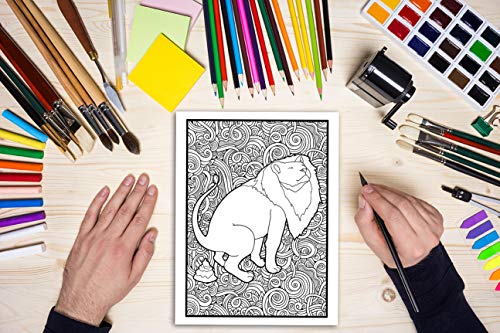 Pooping Animals: A Funny Coloring Book for Adults