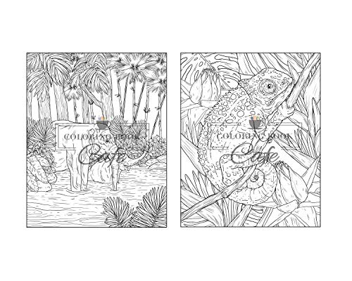 100 Wildlife Scenes: An Adult Coloring Book Featuring 100 Most Beautiful Wildlife Scenes with Animals, Birds and Flowers from Oceans, Jungles, Forests and Savannas