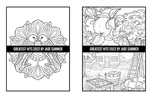Greatest Hits: An Adult Coloring Book with the 100 Best Pages from the Jade Summer Collection
