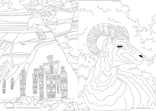 The National Parks: A Coloring Book