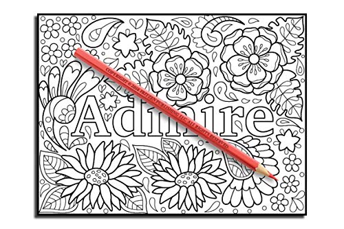 Inspirational Words: An Adult Coloring Book with Fun Word Designs, Cute Kawaii Doodles, and Relaxing Flower Patterns (Inspirational Coloring Books)