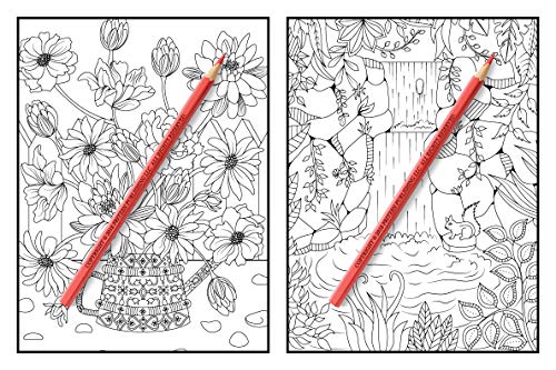 Magical Forest: An Adult Coloring Book with Enchanted Forest Animals, Cute Fantasy Scenes, and Beautiful Flower Designs for Relaxation