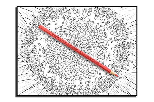 Beautiful Flowers: An Adult Coloring Book with 50 Relaxing Images of Roses, Lilies, Tulips, Cherry Blossoms, Sunflowers, Orchids, Violets, and More!