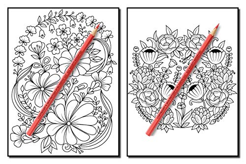 Springtime Flowers: An Adult Coloring Book with Beautiful Spring Flowers, Fun Flower Designs, and Easy Floral Patterns for Relaxation
