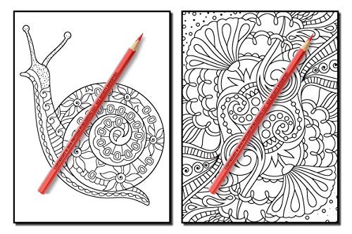 Coloring Books for Adults Relaxation: 100 Magical Swirls Coloring Book with Fun, Easy, and Relaxing Designs