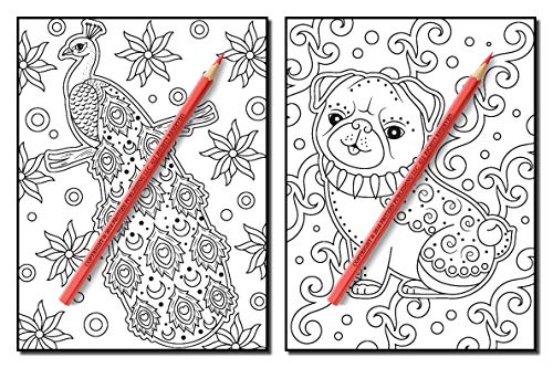 Animals for Beginners: An Adult Coloring Book with Fun, Easy, and Relaxing Coloring Pages