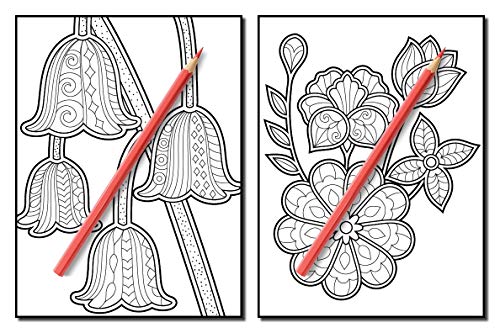 Adult Coloring Book: 50 Relaxing Flower Designs with Mandala Inspired Patterns for Stress Relief