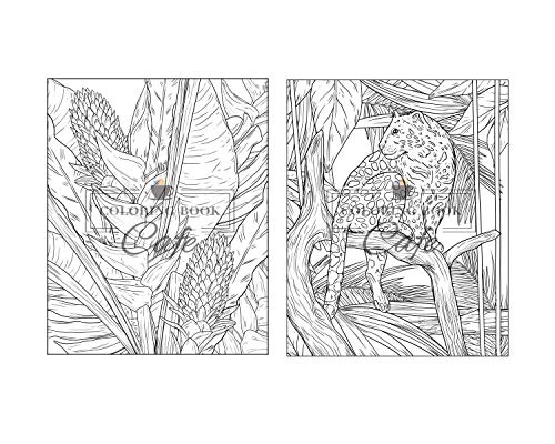 100 Wildlife Scenes: An Adult Coloring Book Featuring 100 Most Beautiful Wildlife Scenes with Animals, Birds and Flowers from Oceans, Jungles, Forests and Savannas