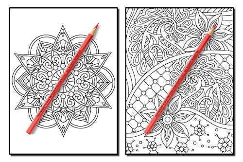 Coloring Books for Adults Relaxation: 100 Magical Swirls Coloring Book with Fun, Easy, and Relaxing Designs