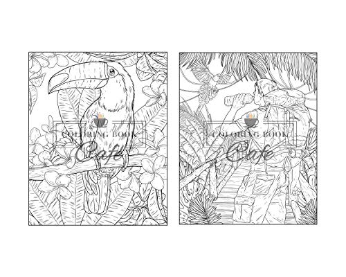 100 Wildlife Scenes: An Adult Coloring Book Featuring 100 Most Beautiful Wildlife Scenes with Animals, Birds and Flowers from Oceans, Jungles, Forests and Savannas